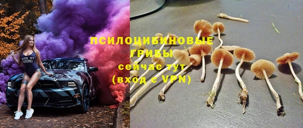 mdpv Богородск